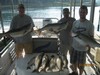 (07/26/2014) - Nice Striped Bass
